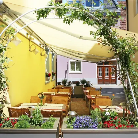 City Hotel Hotel